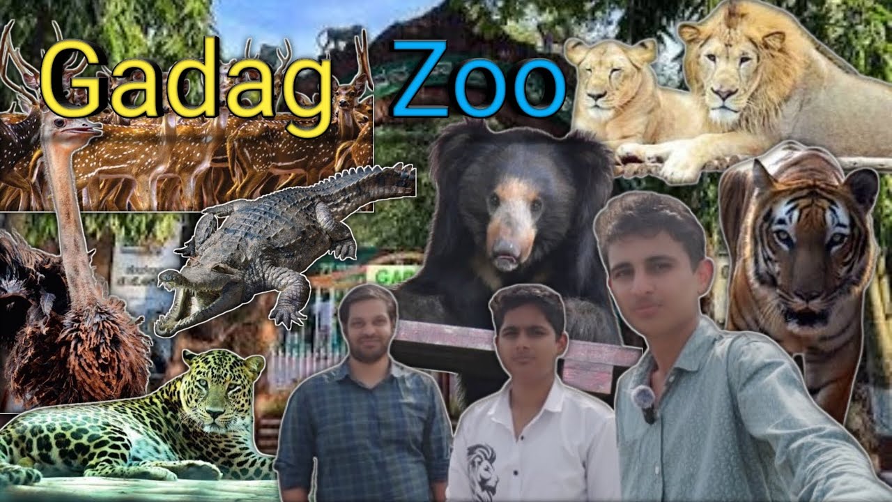 Gadag Zoo Tour 😍🐯🦁 । Karnataka । 