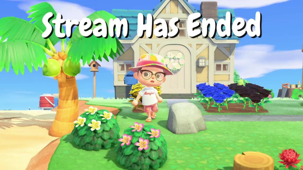 Nintendo Zone Live Stream