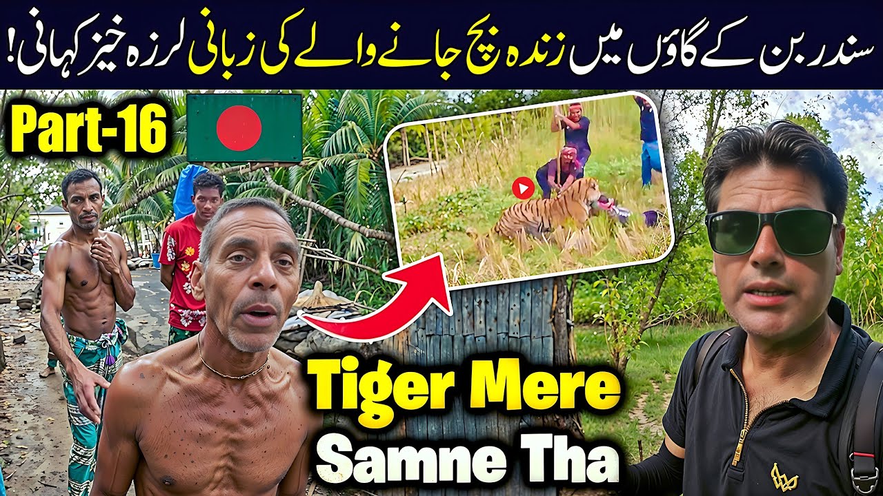 This Sundarbans Village Lives in Fear of Tigers – Shocking Realities Revealed!