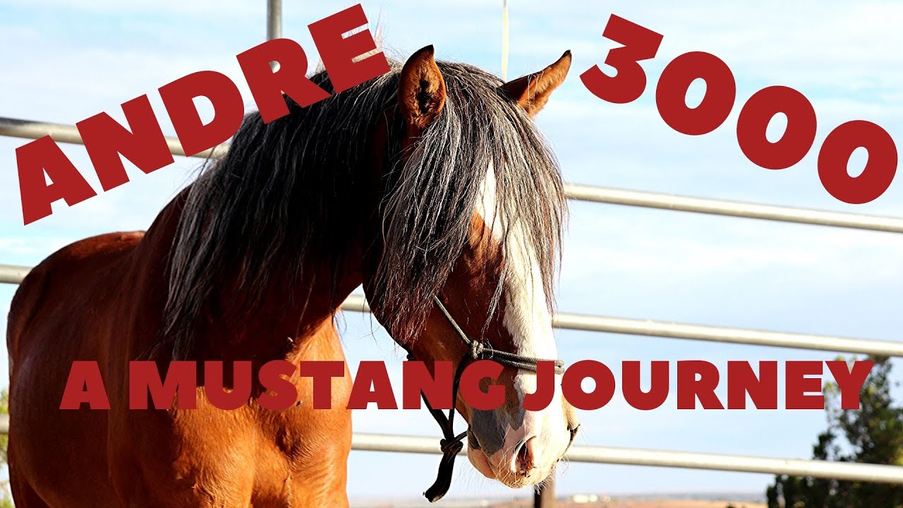 Andre 3000's Journey from Reject to Dream Horse