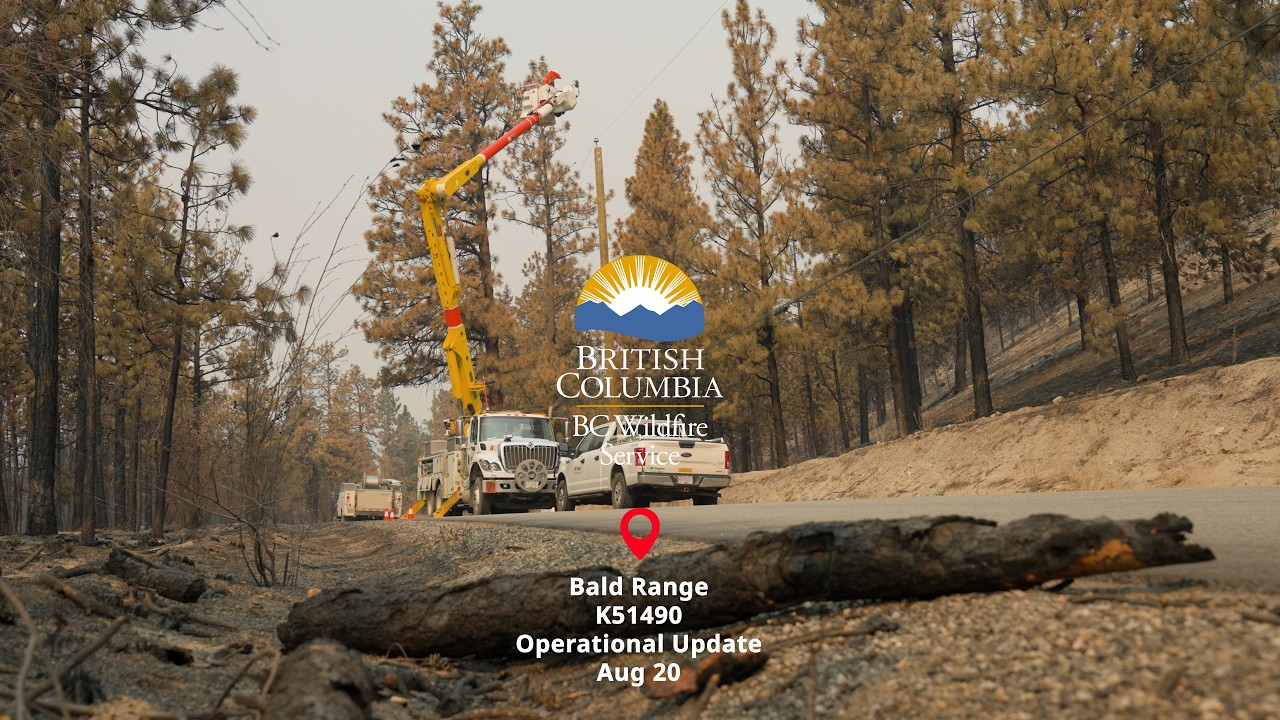 Оперативная сводка по пожару в Bald Range (K51490), 20 августа