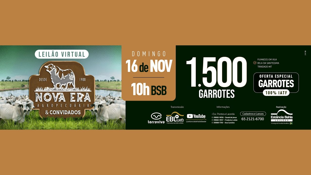 LEILÃO VIRTUAL NOVA ERA AGROPECUÁRIA & CONVIDADOS | 16/11/2025 – 10H