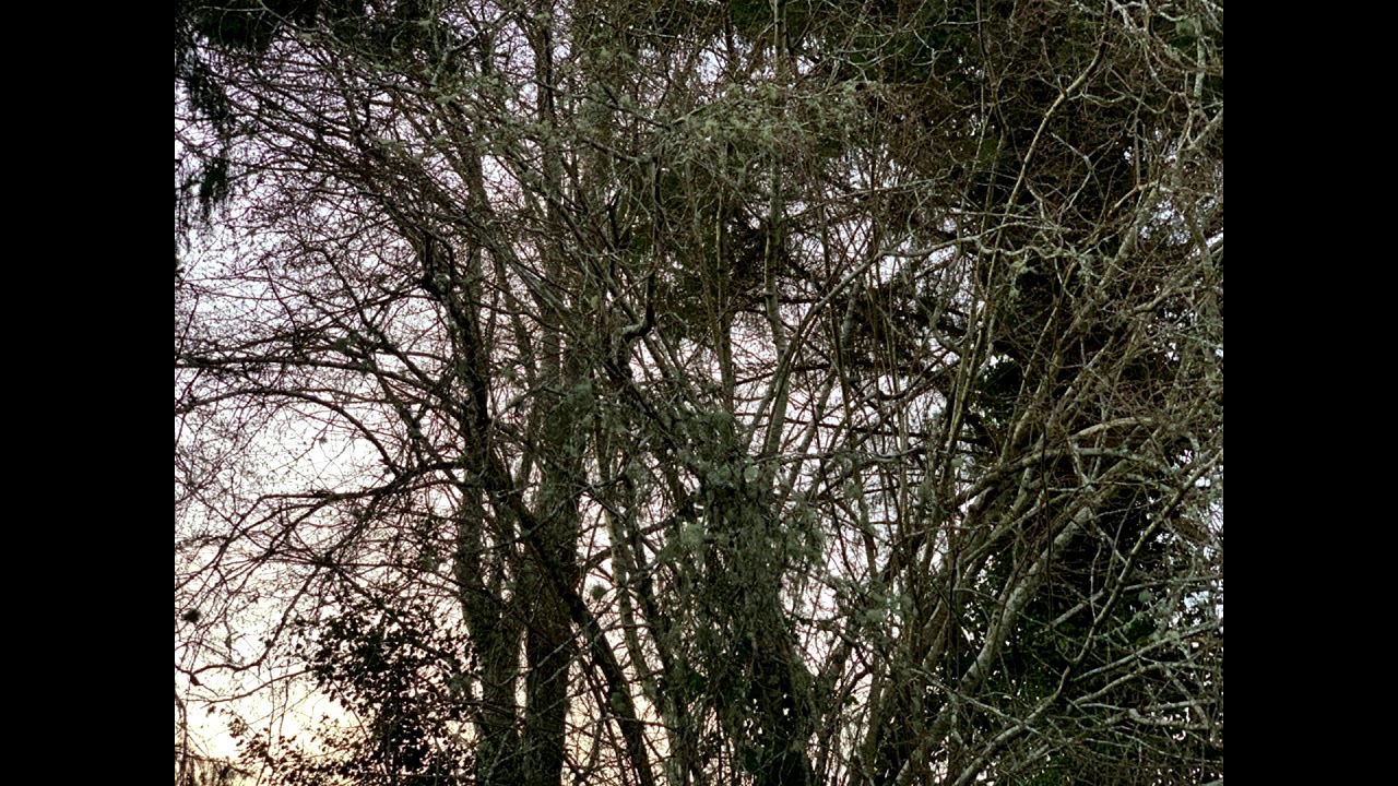 nothing,nowhere. - dread (Slowed Down)