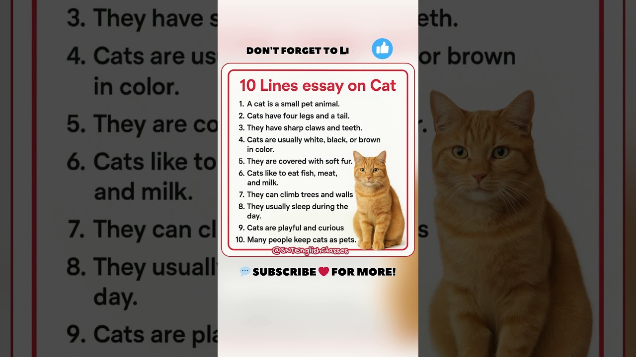 10 Lines Essay on Cat | 10 Lines on Cat Essay | Cat 10 Lines Essay | 10 Lines on My Pet Cat