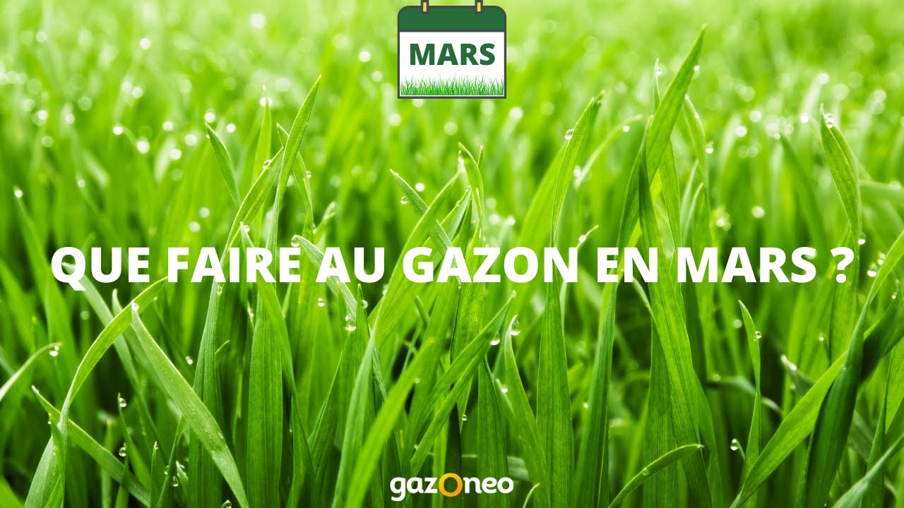 Que faire au gazon en mars ?