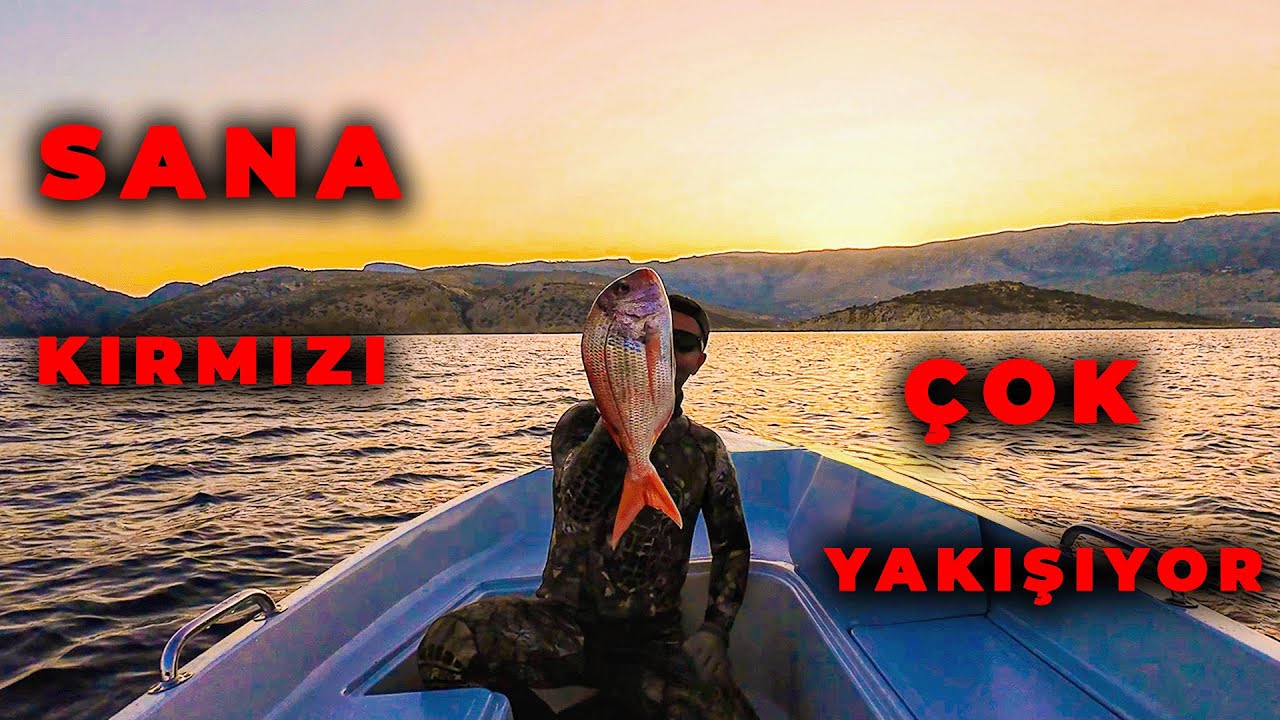 Akdenizin Derinliklerinde: Zıpkın, Deniz ve Dostluk