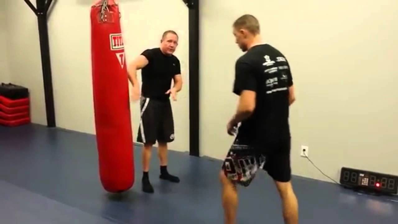 Blue Shield Tactical Systems Thrust Kick