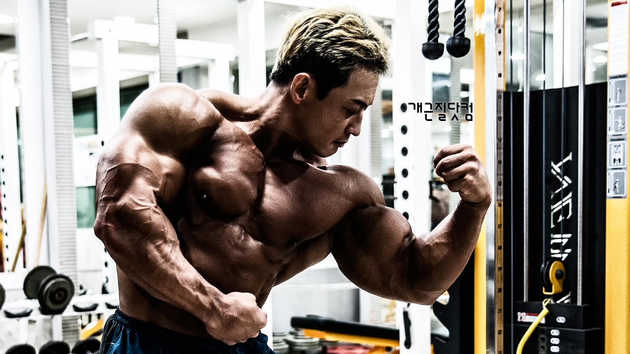 [개근질닷컴] MR. OLYMPIA, IFBB Pro 보디빌더 김준호 팔 운동 / MR. OLYMPIA, IFBB Pro KIM JUN HO Arm Workout