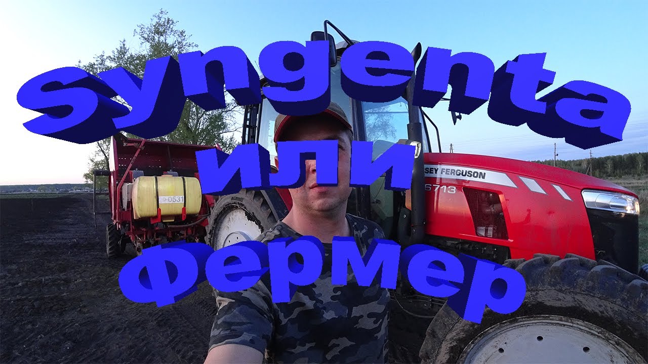 Syngenta против моей схемы защиты картофеля. Кто кого