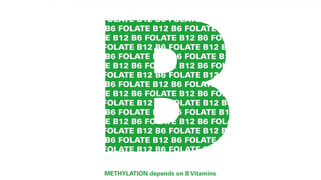 Build Your Brain