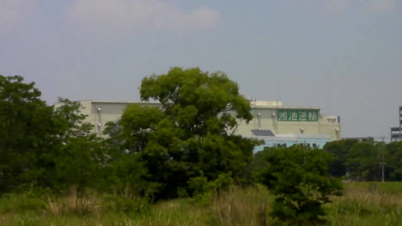 おまけ　T-REX250、墜落終了...