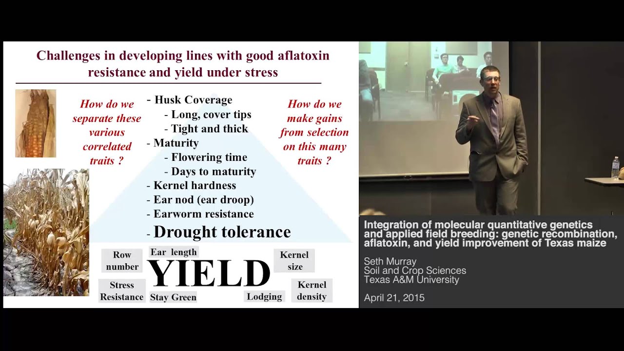 Seth Murray - Molecular quantitative genetics and applied field breeding: improvement of Texas maize