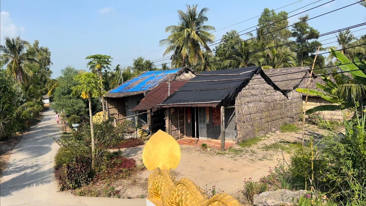 Cuộc Sống Làng Quê Miền Tây - Những Căn Nhà Lá Mộc Mạc - Nét Xưa Xóm Làng Yên Bình Còn Đây. 