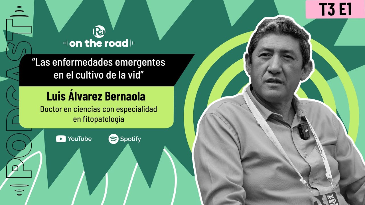 Las enfermedades emergentes en el cultivo de la vid