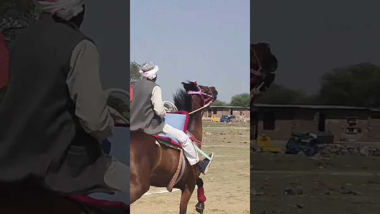 Dausa ki Ghodi sheopur m.p rebal chal me 