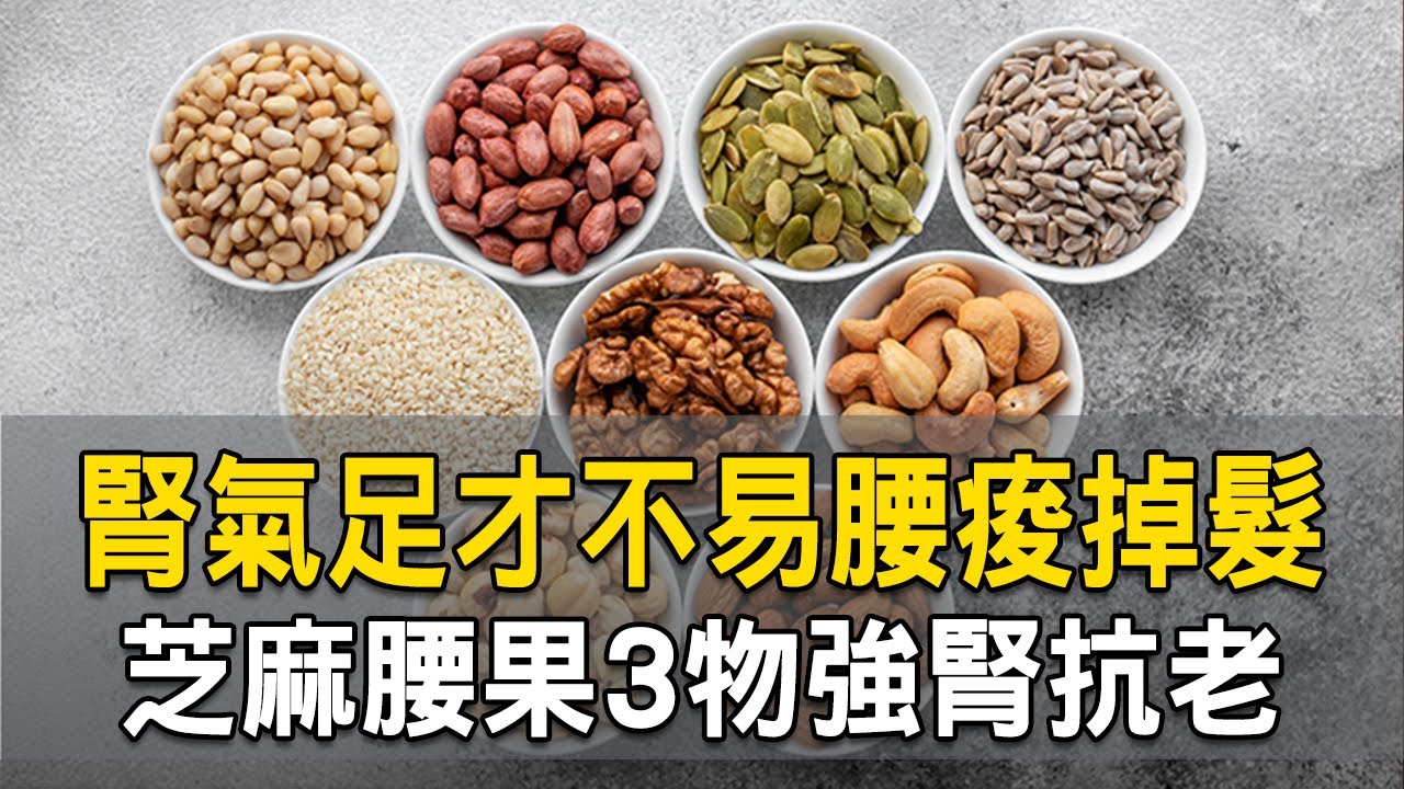 腎氣足才不易腰痠掉髮！芝麻腰果3物強腎抗老｜沙政平 醫師｜304｜談古論今話中醫｜中醫知識CooL