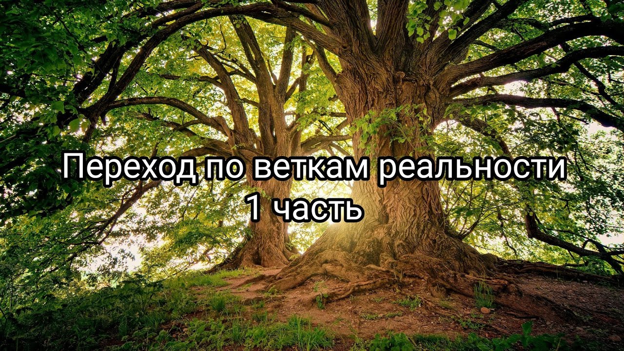 Как управлять переходом по веткам реальности 1часть