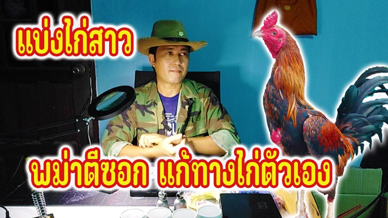 แก้ทางไก่พม่าตีซอกคอ ปราบไก่ตัวเอง