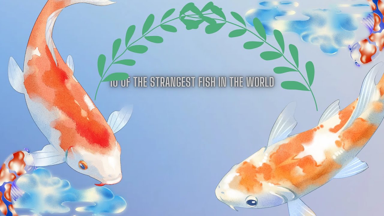 10 of the strangest fish in the world
