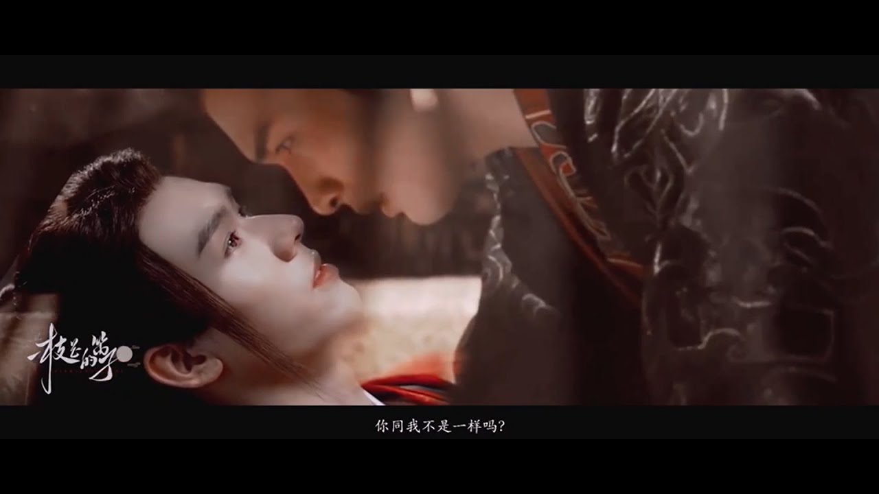 [FMV] Đam mỹ Cung Tuấn - Trương Bân Bân - Trần Tinh Húc