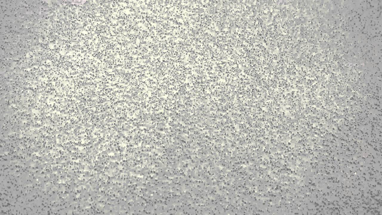 cemento pulido textura