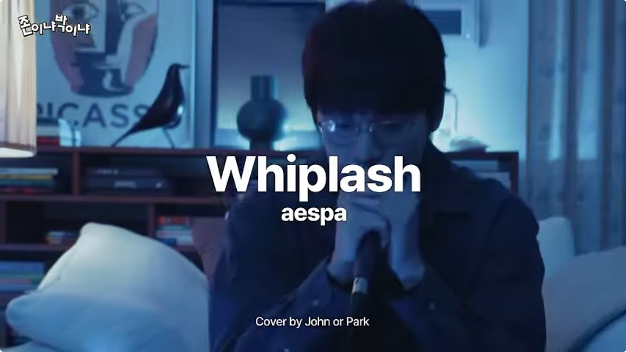 John Park(존박) - Whiplash(THEODOR Remastering)