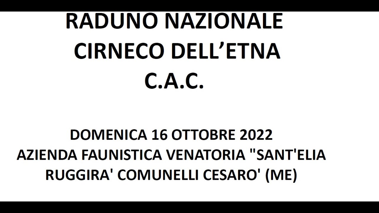 CIRNECO DELL'ETNA -RADUNO E PROVA DI LAVORO-DOCUMENTARIO-DOGSHOW