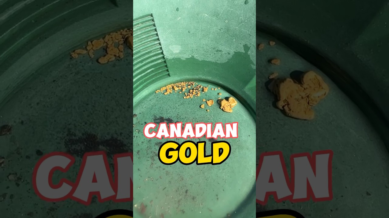 Sniping for gold in Canada #goldprospecting #goldrush #goldpanning