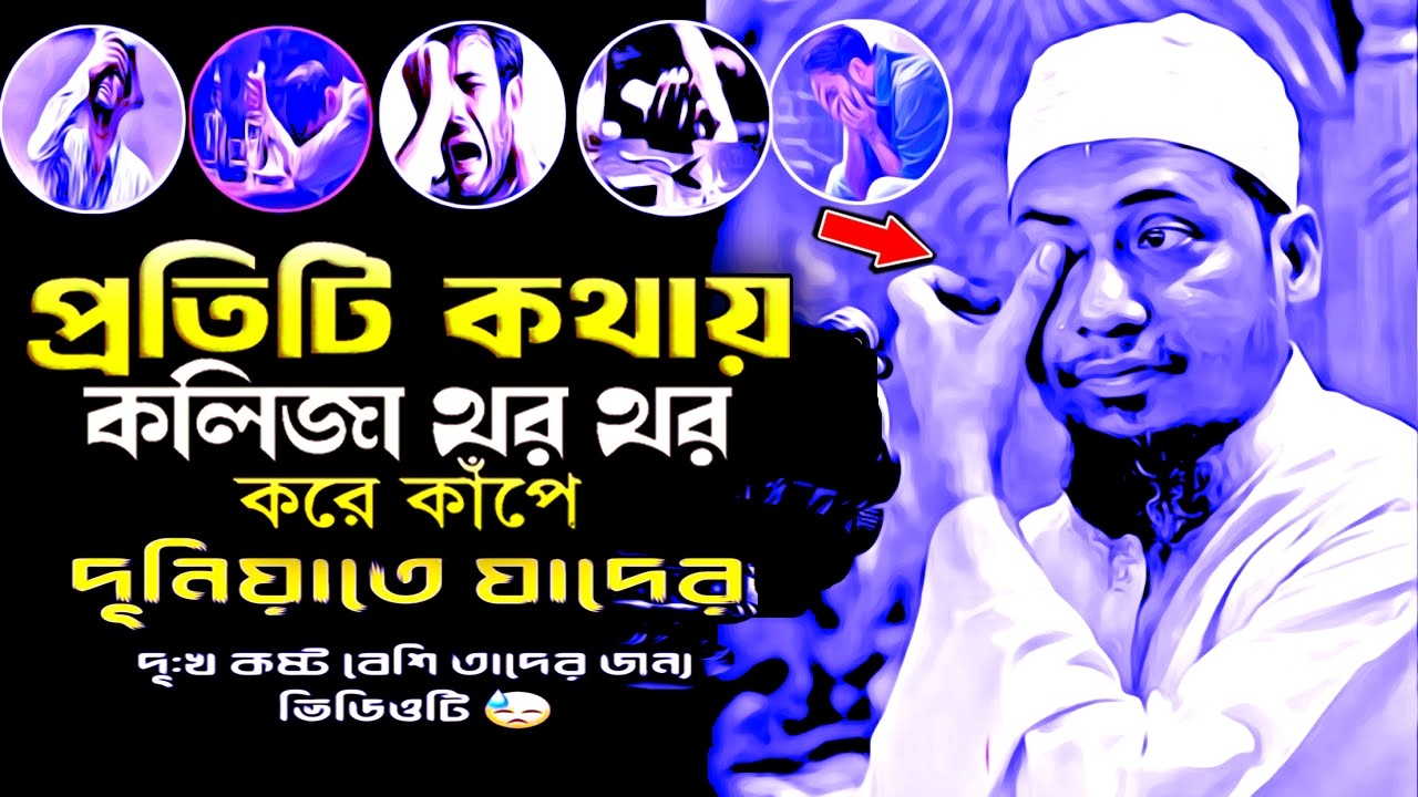 প্রতিটি কথায় কলিজা থর থর করে কাপে দুনিয়াতে যাদের কষ্ট বেশি ।আনিছুর রহমান আশরাফি anisur rahman asrafi
