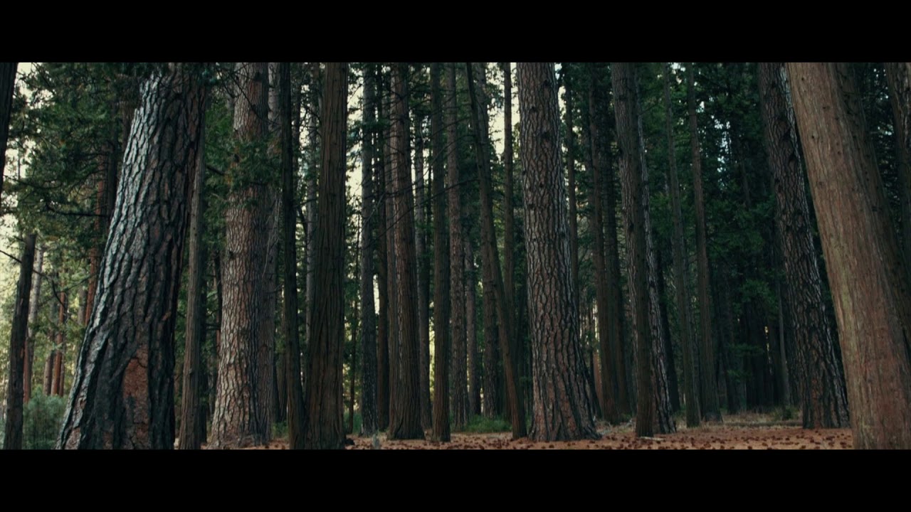 In awe with nature!. Music by Tulio Cremisini.