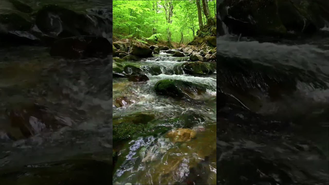 Rock Creek Forest Stream Flow