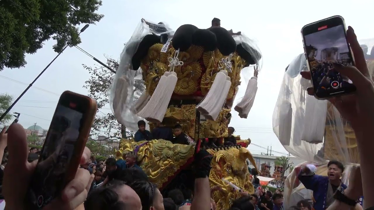 西条祭り 2024年度伊曾乃神社祭礼 御殿前御輿  20241016