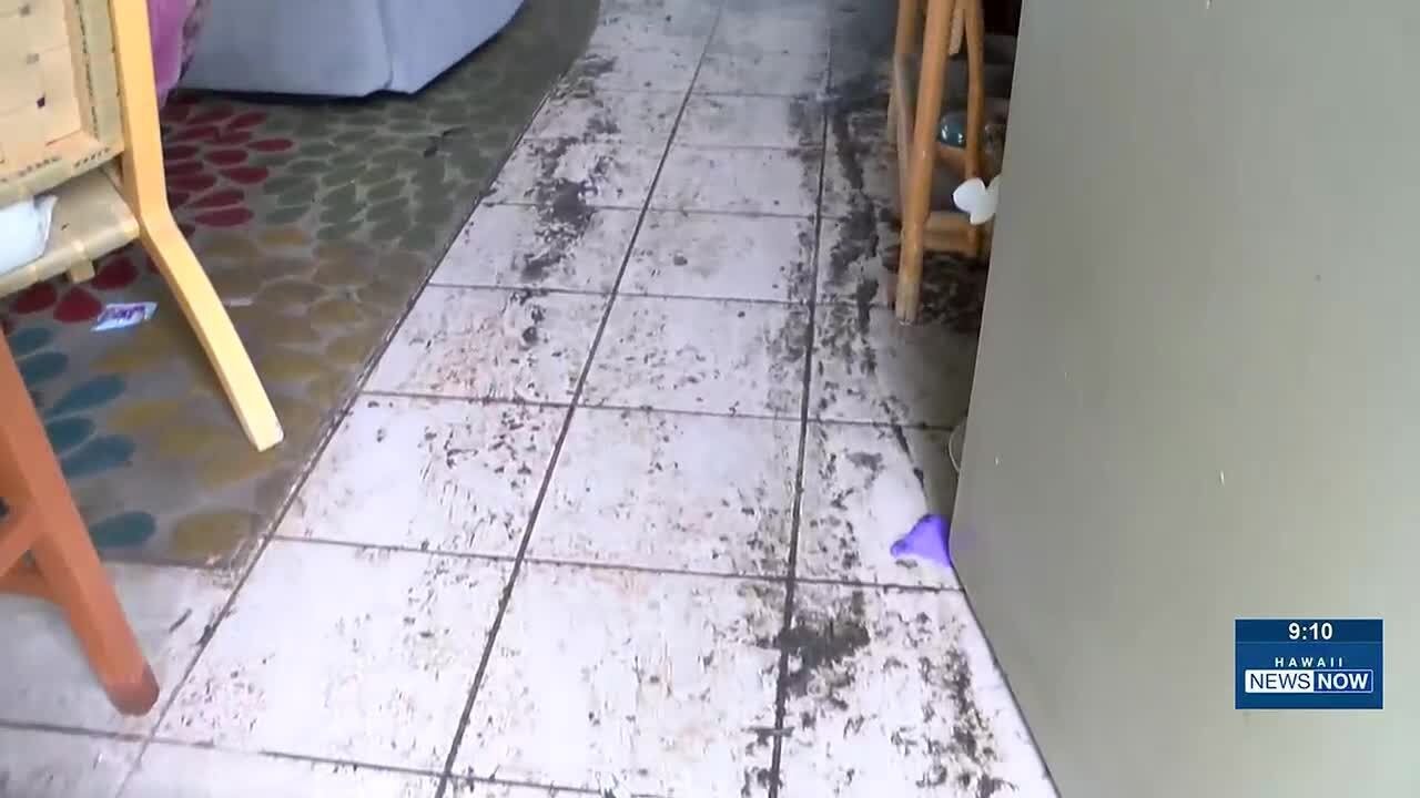 «Отвратительно»: дом в Кайлуа затоплен и покрыт сточными водами после шторма и прорыва водостока.