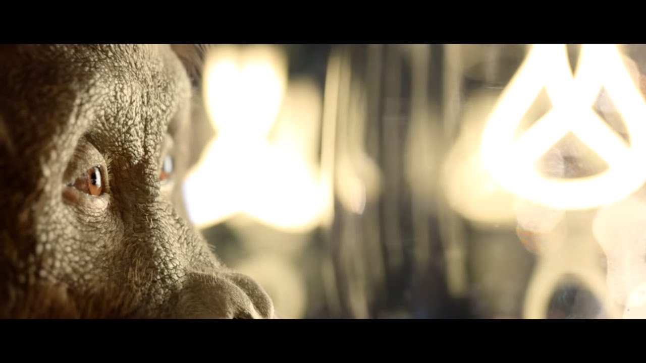 SSE 'Maya'