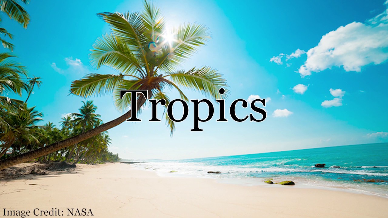 Armillary Sphere 1: The Tropics