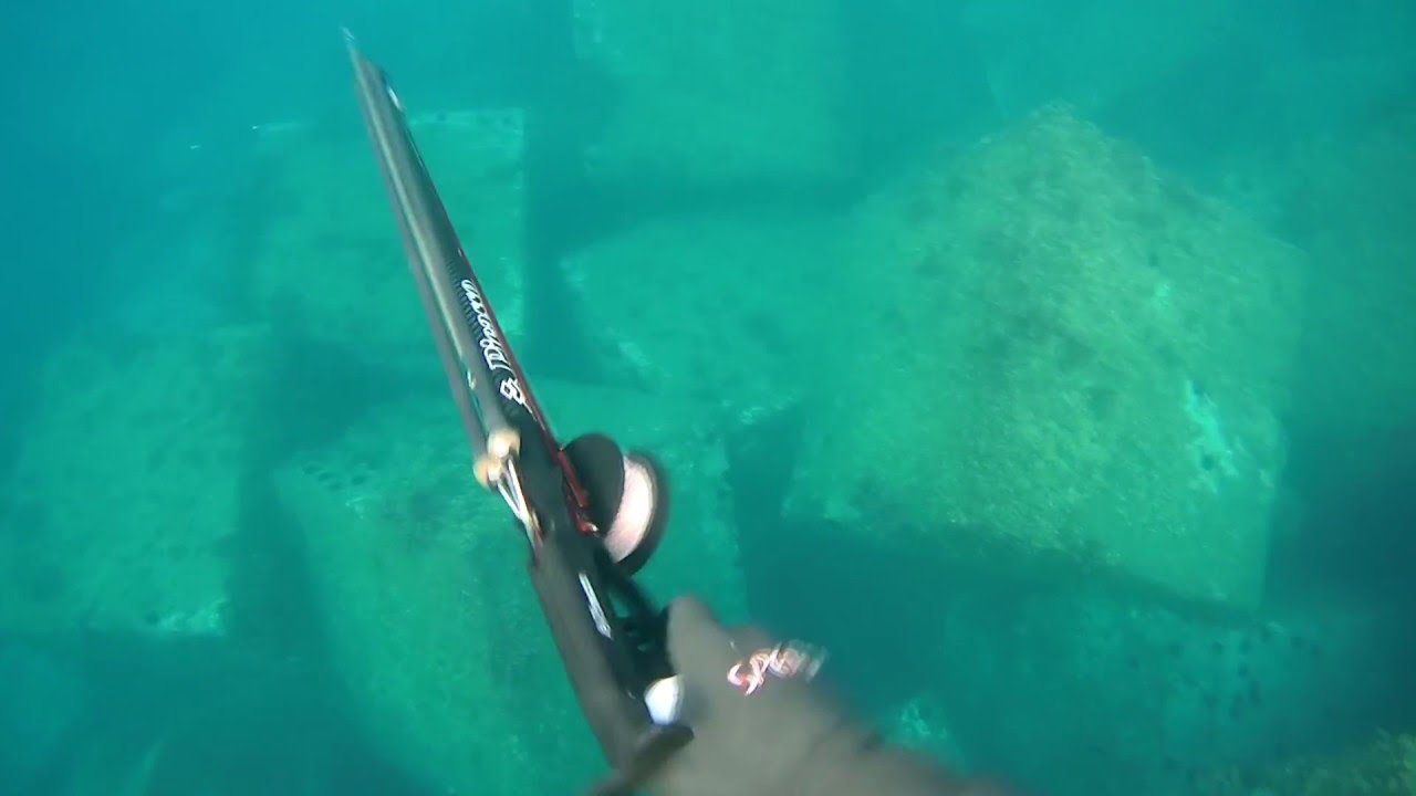 Fusil Picasso Cobra Rail Carbono - 95