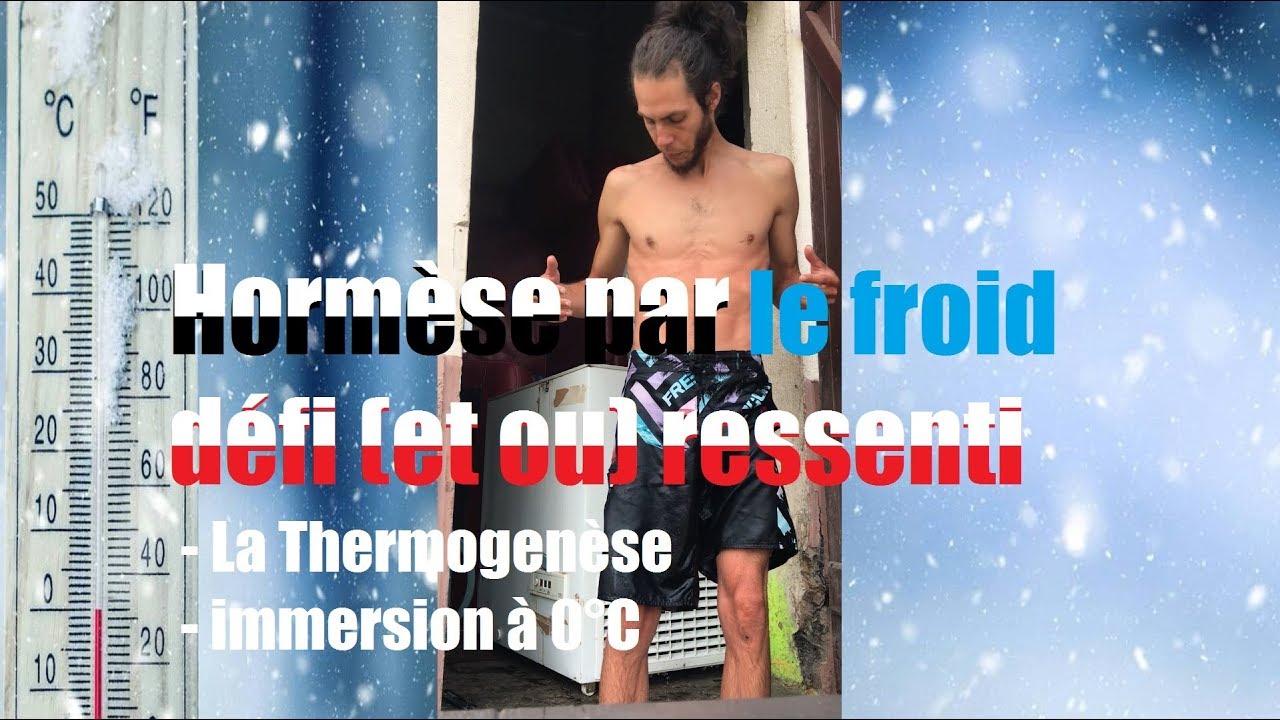 Horm&egrave;se par le froid d&eacute;fi (et ou) ressenti / La Thermogen&egrave;se / immersion &agrave; 0&deg;C