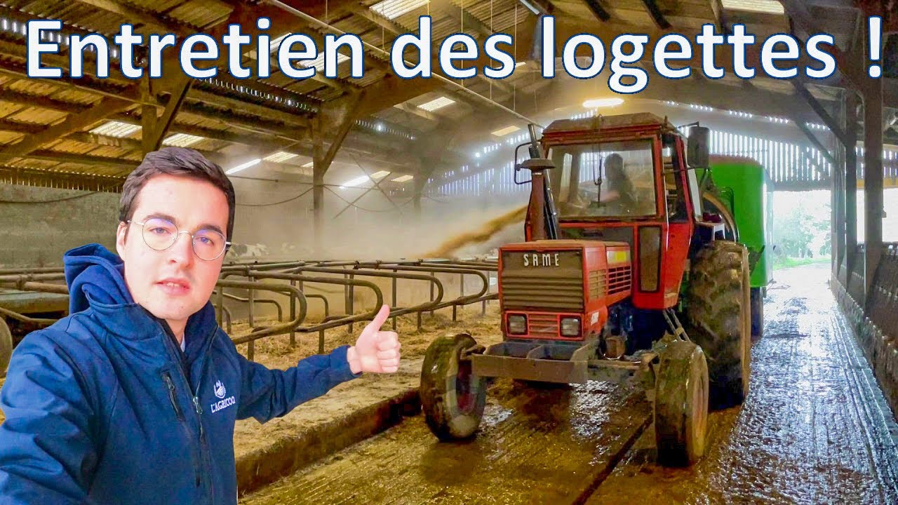 Entretien des logettes ! 👌🐮