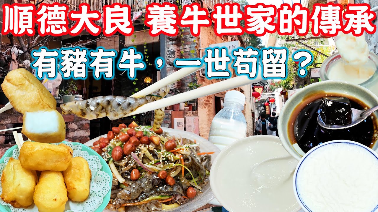 【順德大良美食遊】避雷華蓋山？金榜百年牛乳街 五店連吃！牛乳白粥出乎意料好吃！非網紅店撈魚皮推薦｜民駿龜苓膏｜芳姐牛乳｜梯底牛乳｜古月漁皮｜歡記牛乳｜美食推薦旅遊攻略｜Foshan Food Tour