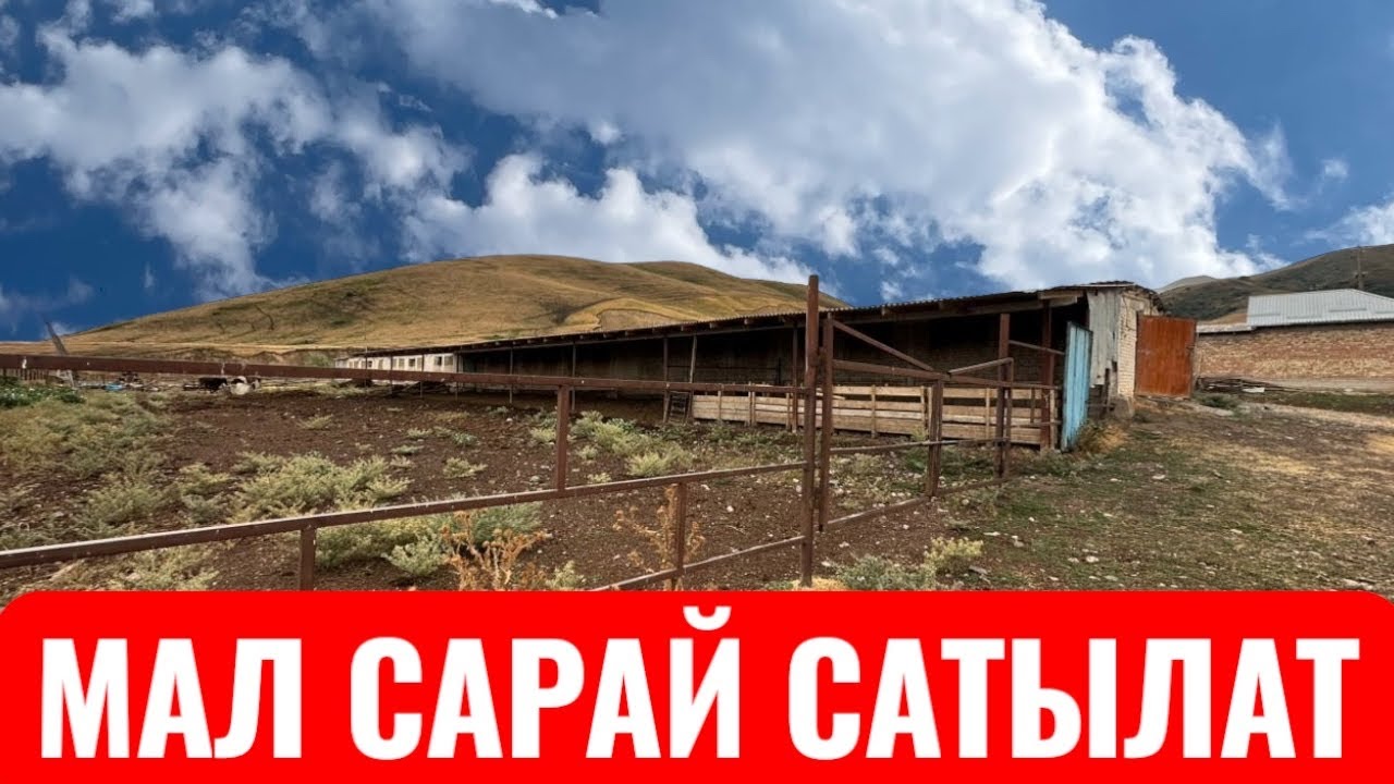 МАЛ САРАЙ САТЫЛАТ СОСНОВКА 2025