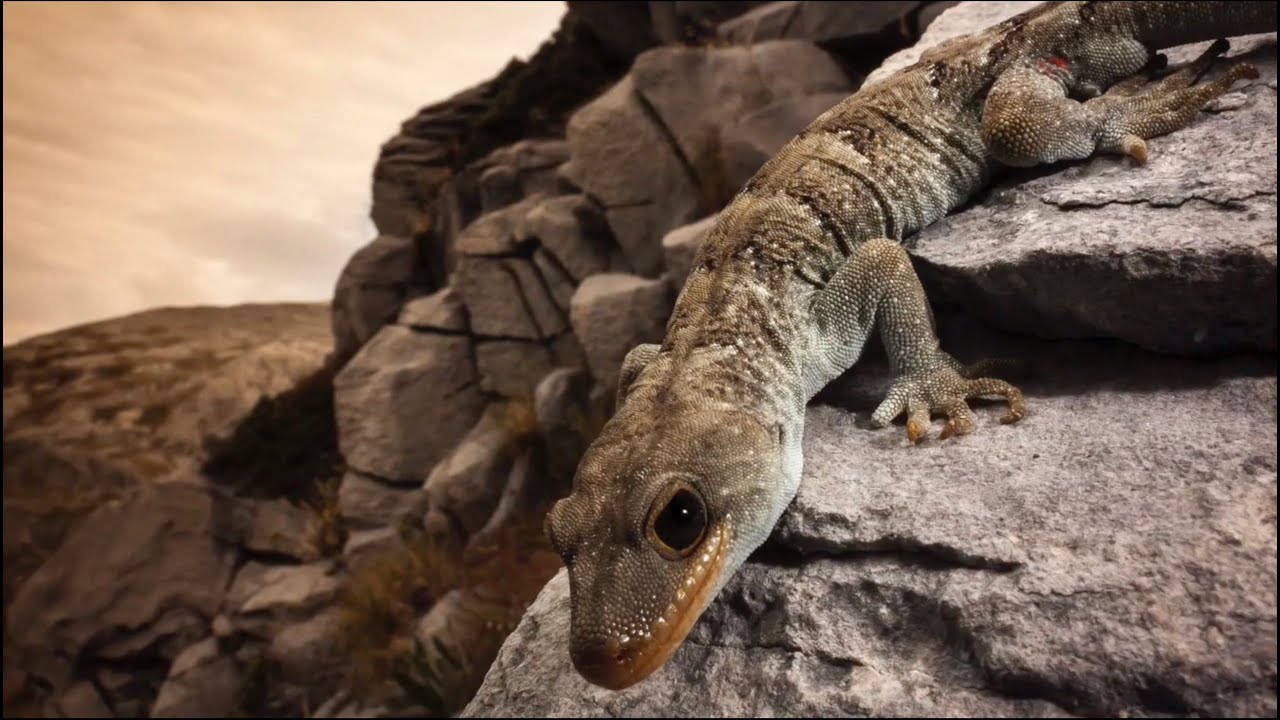 New Zealand Reptiles and why we should protect them