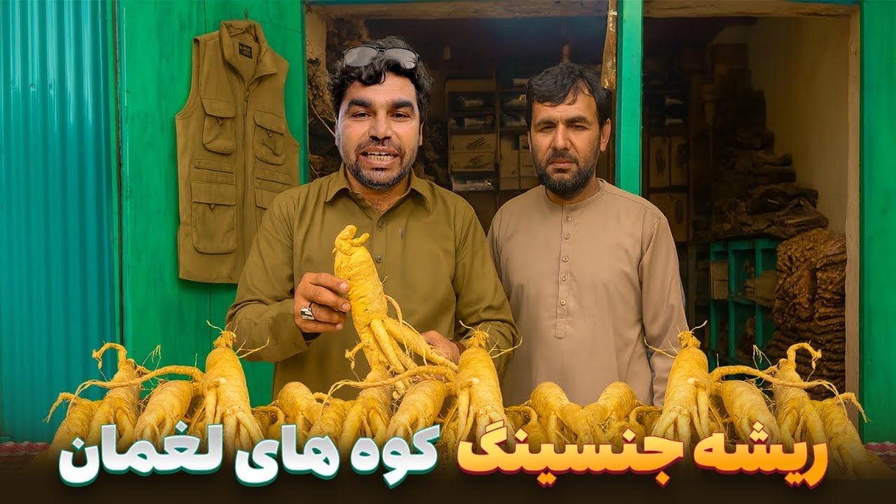 افغان سین - سفر به تنها قریه ای افغانستان که در آن ریشه جنسینگ پیدا می شود