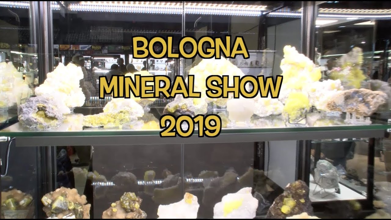 BOLOGNA MINERAL SHOW 2019