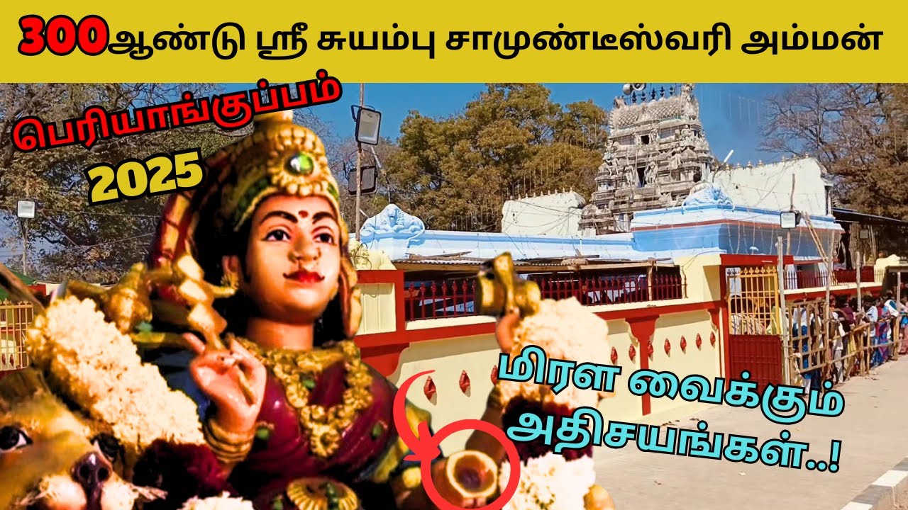 பெரியாங்குப்பம் ஸ்ரீ சுயம்பு சாமுண்டீஸ்வரி அம்மன் கோவில் #periyankuppam #suyambu #thiruvilla #ambur