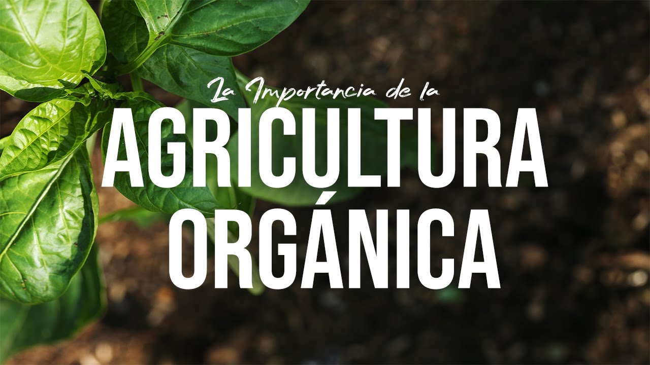 UNA ESPERANZA PARA EL SUELO, LA AGRICULTURA ORGÁNICA | Jairo Restrepo Rivera