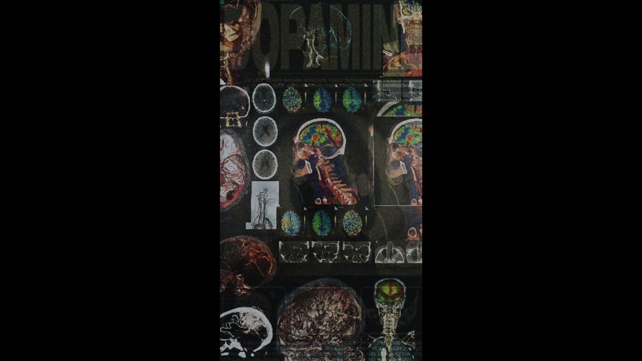 The Liminal Man - When you feel like your brain is about to explode…
