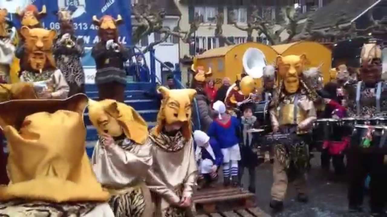 Nachtfalter Schränzer 2015