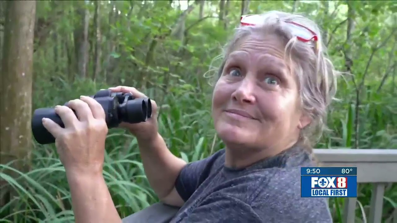 Heart of Louisiana: Hummingbird Nest