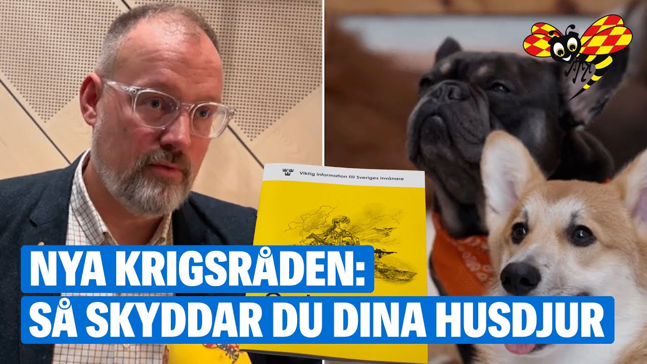 Nya svenska krigsråden: Husdjur får inte följa med in i skyddsrummet