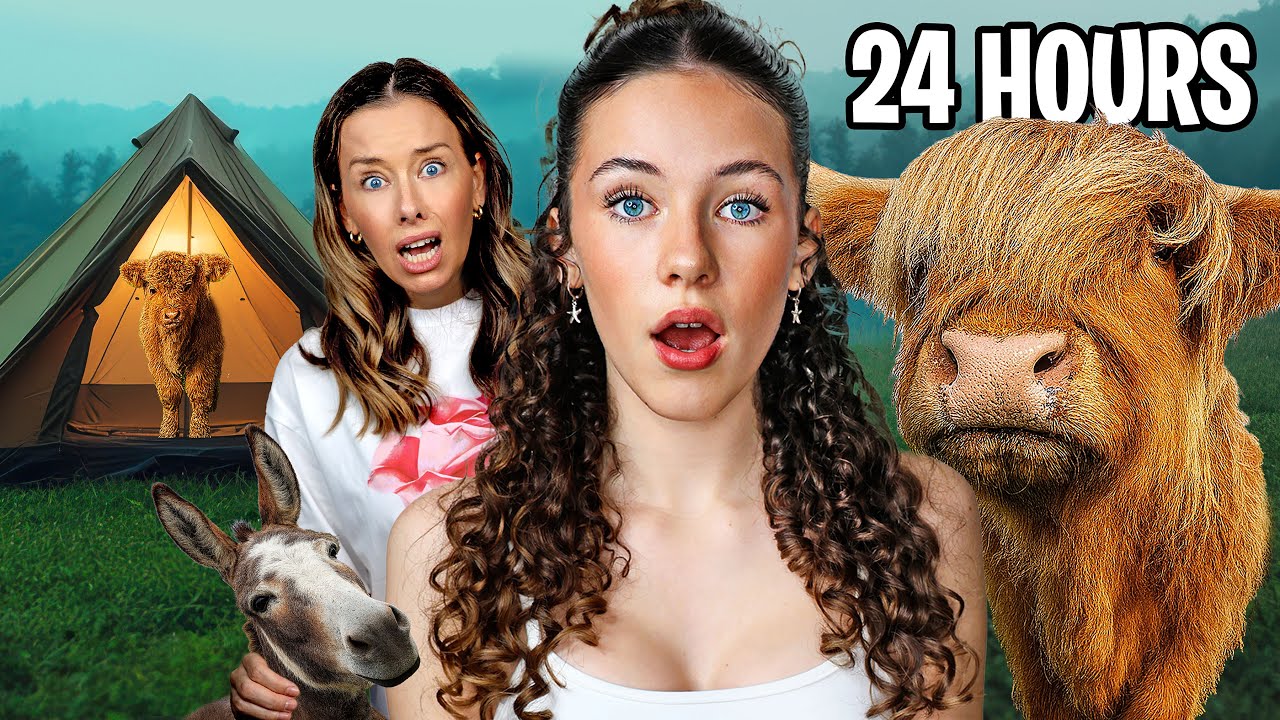 24 HOURS GLAMPING with HIGHLAND COWS & MINIATURE DONKEYS!